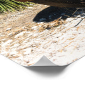 Poster Rusty old truck abandoned in outback Australia. (Coin)