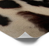 Poster Rusty the Appaloosa (Coin)