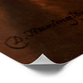 Poster RUTHERFORD B. HAYES Portrait de Daniel Huntington (Coin)