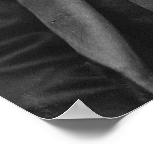 Poster Rutherford B. Hayes Portrait par Mathew Brady (Coin)