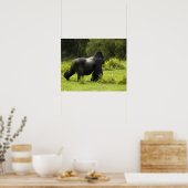 Poster Rwanda, Parc national des volcans (Cuisine)