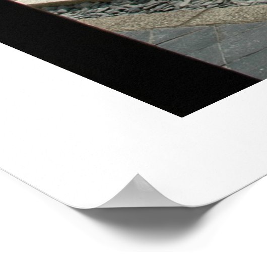 Poster Ryuanji (Coin)