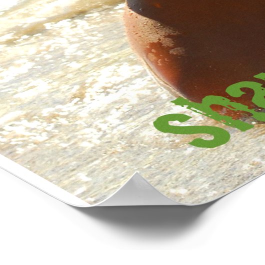 Poster S0171(2), shaunavalance.com (Coin)