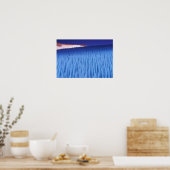 Poster SA, Chili, région de Coquimbo, Nieve Penitente ; (Cuisine)