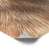 Poster Saber Toothed Ttiger ou Smilodon (Coin)