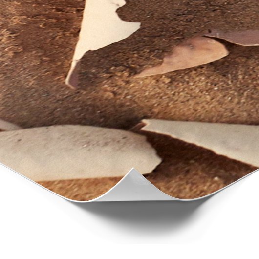 Poster Sable (Coin)