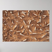 Poster Sable (Devant)