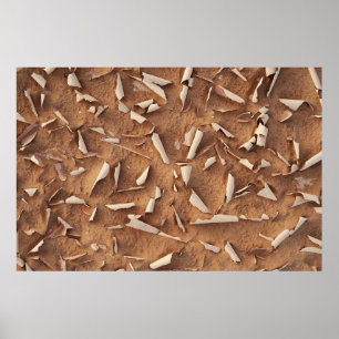 Poster Sable