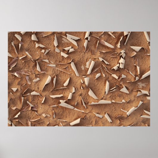 Poster Sable (Devant)