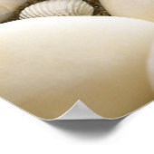 Poster Sable Avec Coquilles Et Pierres. Composition de pl (Coin)