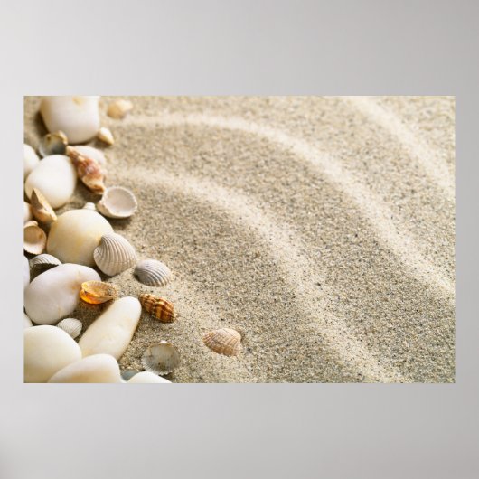 Poster Sable Avec Coquilles Et Pierres. Composition de pl (Devant)
