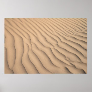 Poster sable Brown