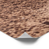 Poster sable Brown (Coin)