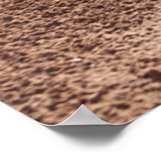 Poster sable Brown (Coin)