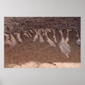 Poster sable Brown (Devant)