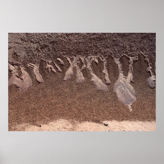 Poster sable Brown (Devant)