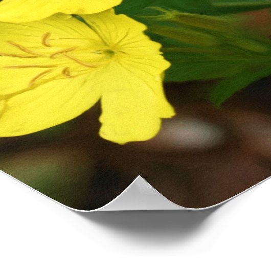 Poster Sable Collie Jaune Primrose Chien Art (Coin)