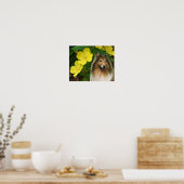 Poster Sable Collie Jaune Primrose Chien Art (Cuisine)