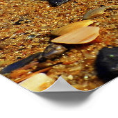 Poster sable de patonga (Coin)