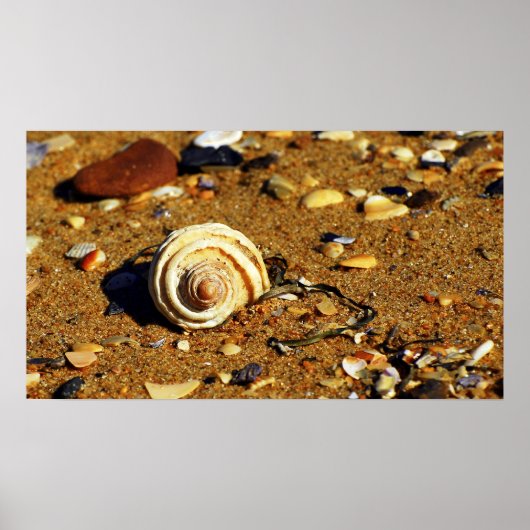 Poster sable de patonga (Devant)