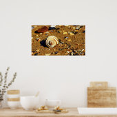 Poster sable de patonga (Cuisine)