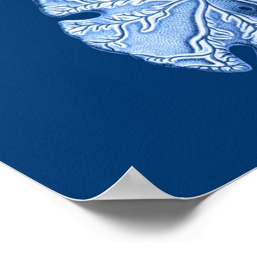 Poster Sable Dollar Sea Life Imprimer, Indigo bleu et bla (Coin)