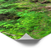 Poster Sable Falls, Rocks Pictures Nat'l Lakeshore, MI (Coin)