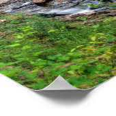 Poster Sable Falls, Rocks Pictures Nat'l Lakeshore, MI (Coin)