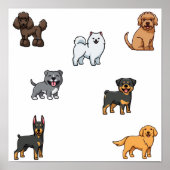 Poster Sable Mofu (Devant)