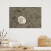 Poster Sables en dollars (Echinarachnius parma) (Cuisine)