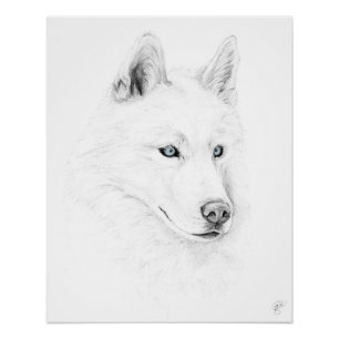 Poster Sabre yeux bleus d'un art de dessin de chien de