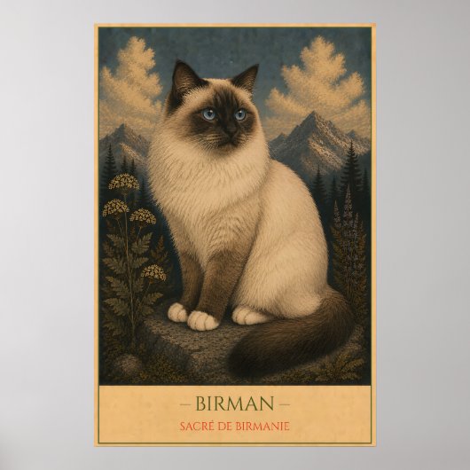 Poster Sacred Grace: Birman Cat (Devant)