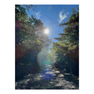 Poster Sacred Light on a Forest Path in Japan