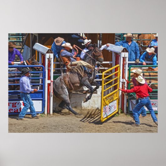 Poster Saddle Bronc Breaking Out of Rodeo Chute w Cowboy (Devant)