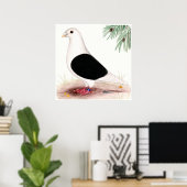 Poster Saddle Homer Pigeon (Bureau à domicile)