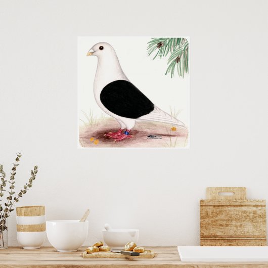 Poster Saddle Homer Pigeon (Cuisine)