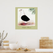 Poster Saddle Homer Pigeon (Cuisine)