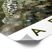 Poster Safari Afrique (Coin)