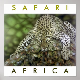 Poster Safari Afrique