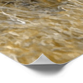 Poster Safari - Lion (Coin)