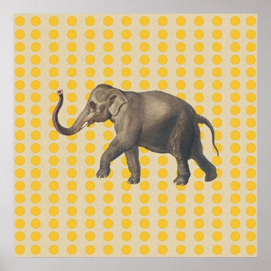 Poster Saffron Spice Moods Doses avec éléphant (Devant)