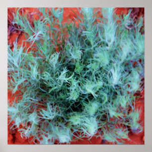 Poster Sage du désert