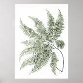 Poster Sage Green Decor Fern Leaf Imprimer no 5 (Devant)