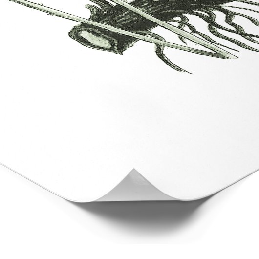 Poster Sage Green Fern imprimer n° 10 Botanical Wall Art (Coin)