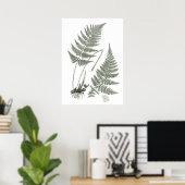 Poster Sage Green Fern imprimer n° 10 Botanical Wall Art (Bureau à domicile)