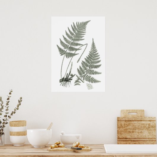 Poster Sage Green Fern imprimer n° 10 Botanical Wall Art (Cuisine)