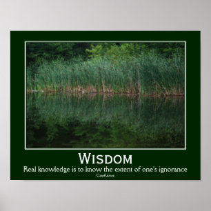 Poster Sagesse Confucius Citation Cattails Inspiration