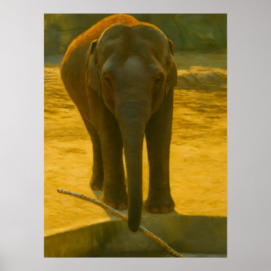 Poster Sagesse des éléphants d'or - faune majestueuse (Devant)