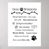 Poster Sagesse du chien (Devant)