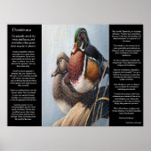 Poster Sagesse et Canards par l'eau DESIDERATA (Devant)